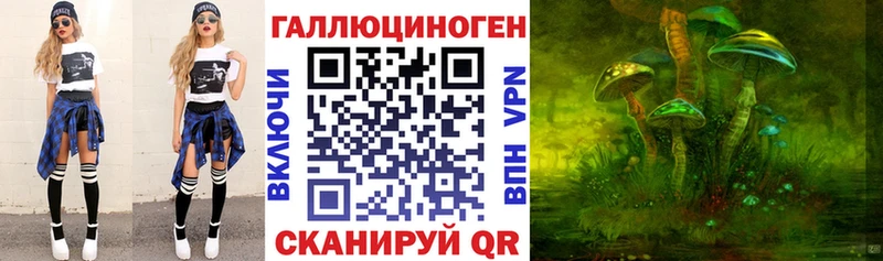 Купить  Зея  Галлюциногенные грибы Psilocybine cubensis 