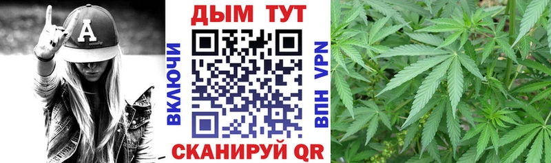 Купить закладки  Зея  Бошки марихуана SATIVA & INDICA 